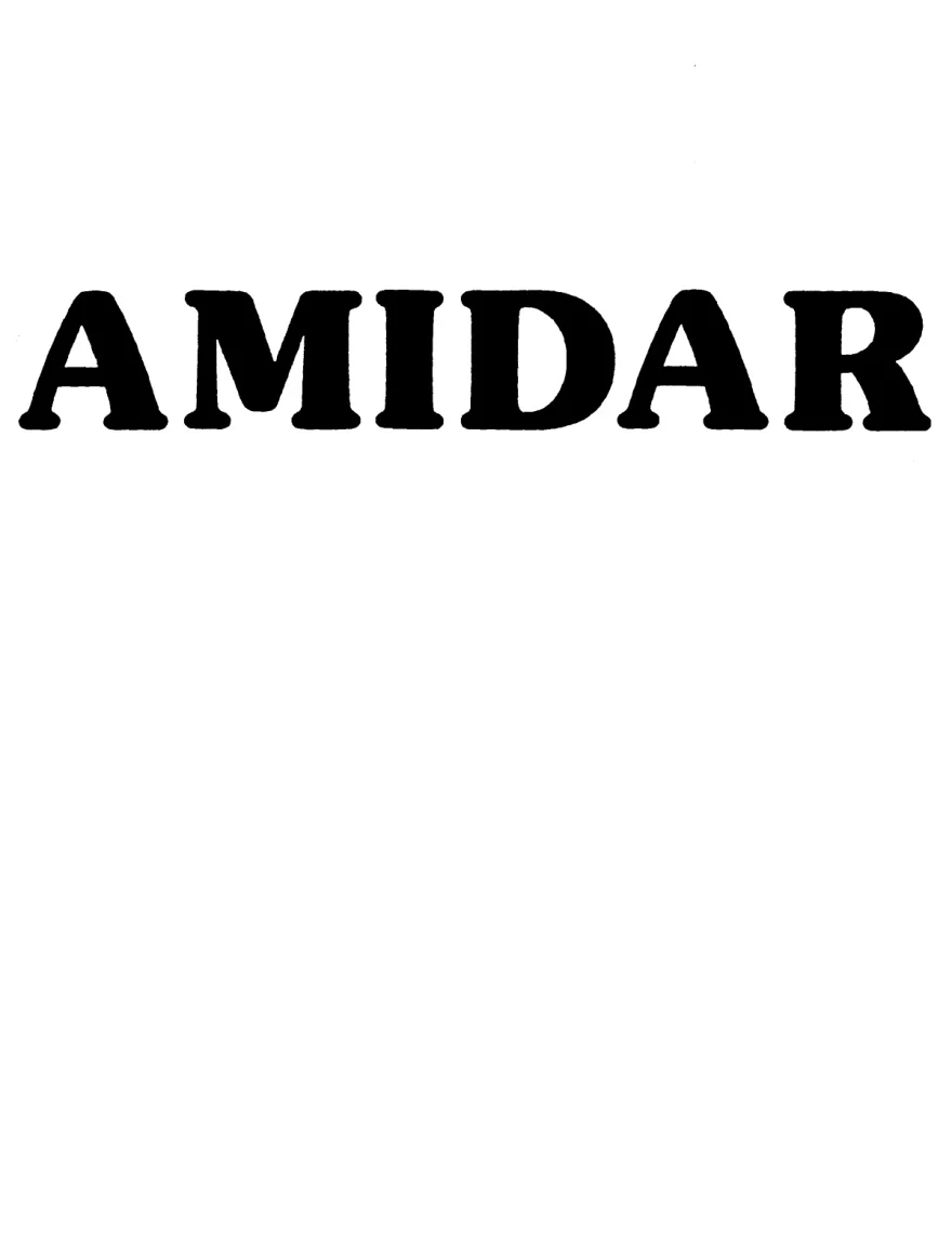 amidar manual|konami|games|.webp