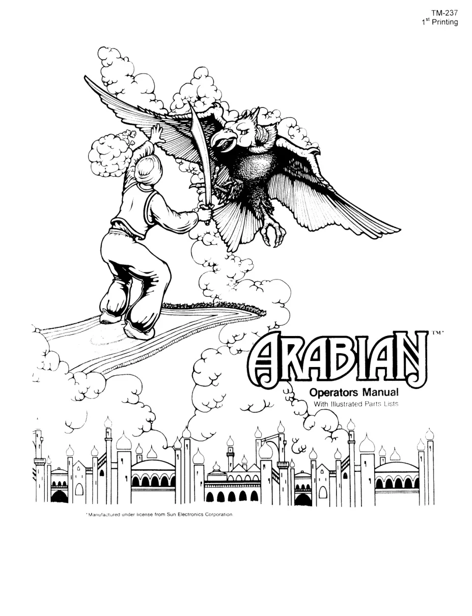arabian-manual-sun-electronics-games-webp.16133