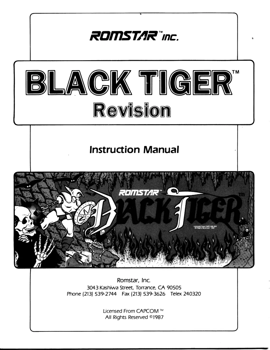 black-tiger-manual-capcom-games-webp.12508