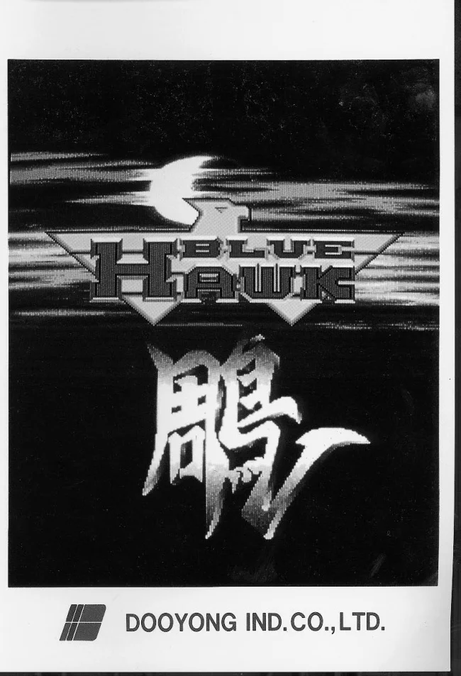 blue hawk manual|nmk|games|.webp