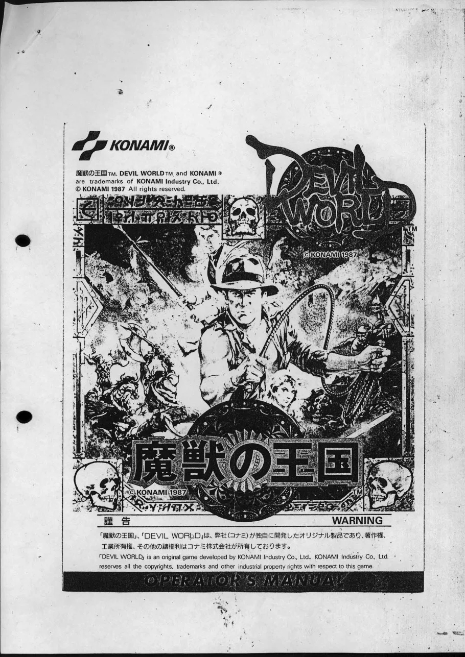 devil-world-manual-nintendo-games-webp.14791