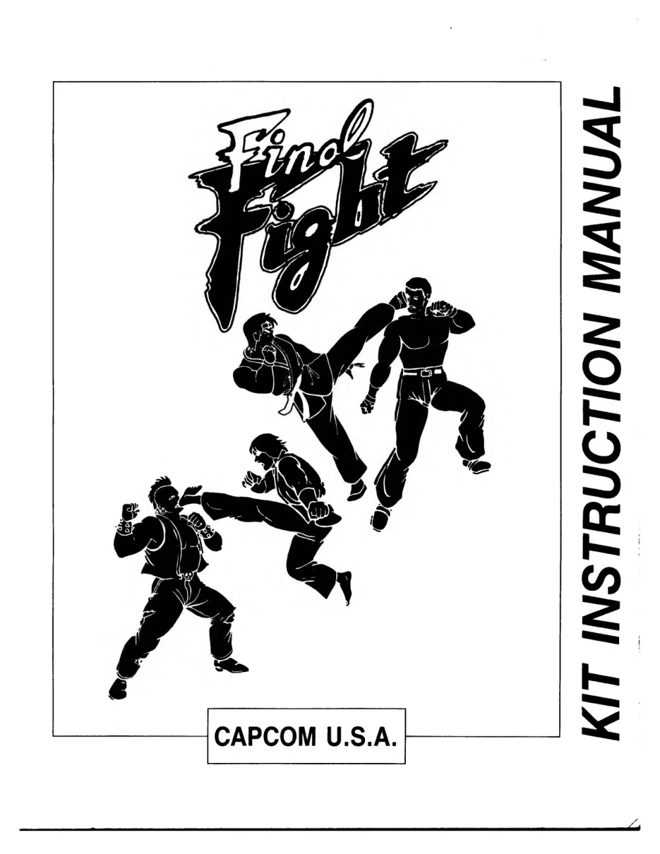 fight instruction manual|capcom|games|.webp
