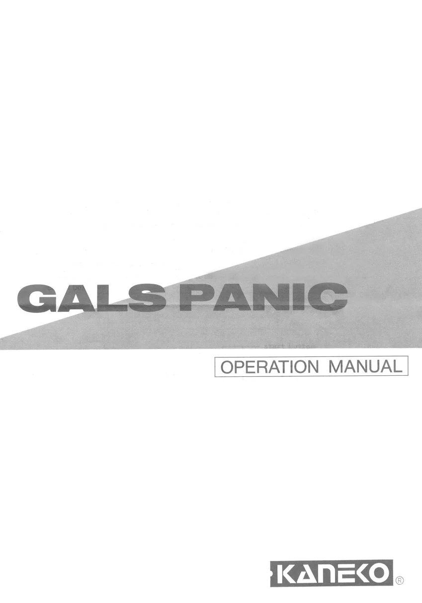 gals-panic-manual-kaneko-games-webp.13689
