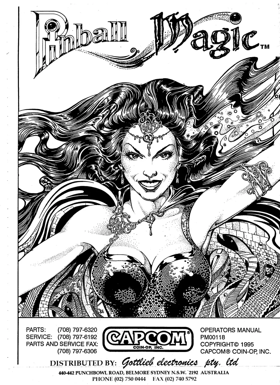 pinball-magic-operation-manual-capcom-pinball-em-adjacent-webp.8732