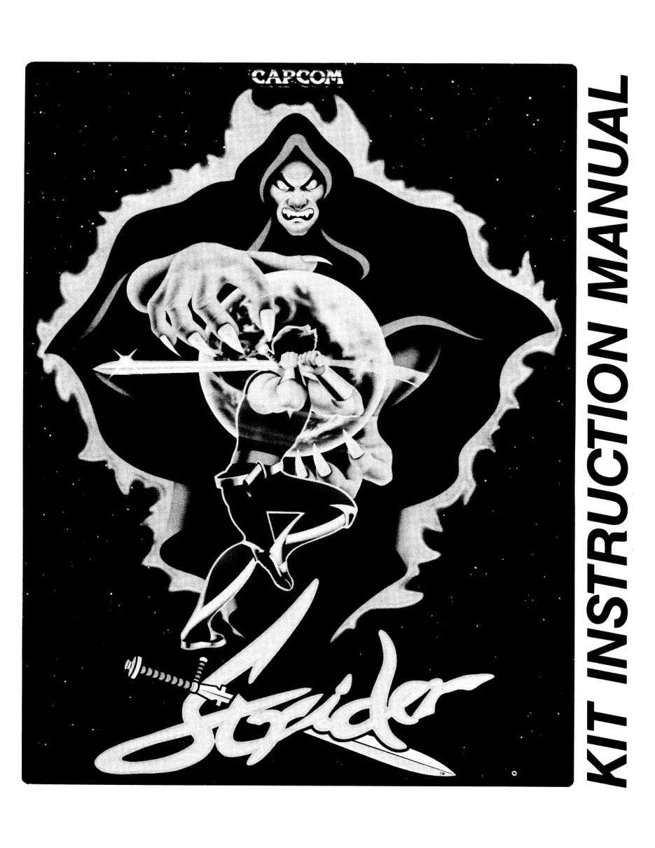 strider-manual-capcom-games-webp.12490