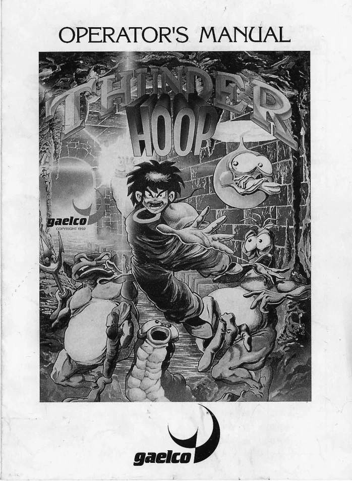 thunder hoop operation manual|gaelco|games|.webp