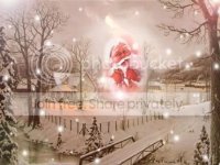 kerst.jpg