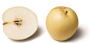 Pyrus_pyrifolia.jpg