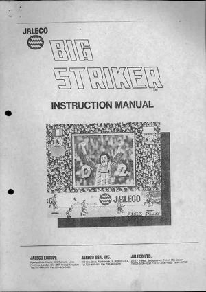 big striker instruction manual|jaleco|games|.webp