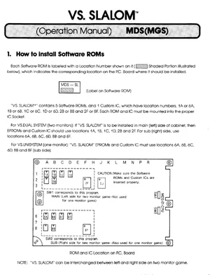 vs slalom manual|nintendo|games|.webp