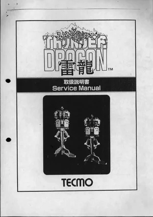 thunder dragon service manual|nmk|games|.webp
