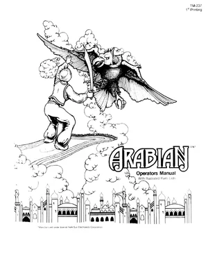 arabian manual|sun-electronics|games|.webp