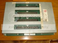 SNC10478.jpg
