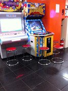 IMG_1578_765x1024.jpg