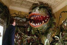 little-shop-of-horrors-image.jpg little-shop-of-horrors-image.jpg