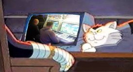 pQpyq.jpg