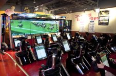 horseraces.jpg