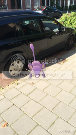 9EE47544-DB6A-4278-A8EB-A90BF55D3BC1_zpsuxluw5uy.png