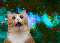 b8c4f0155af85238904038e574b498d1.jpg.gif b8c4f0155af85238904038e574b498d1.jpg.gif