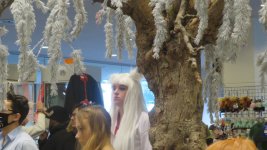IMG_2750.jpg IMG_2750.jpg