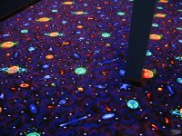 img_0833.jpg img_0833.jpg