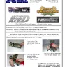 Reader Arcade Us Digital service bulletin (Sega)