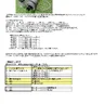 Wein Rr manual