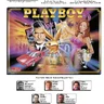 Pinball Playboy manual (Stern)