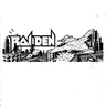 Raiden manual (Fabtek)