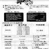 Dodonpachi 2 manual (IGS)