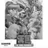 Game Paradise manual (Jaleco)