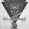 Salamander operation manual (Konami)