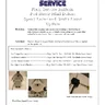 Pod Racer service manual (Sega)