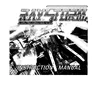 Ray Storm manual (Taito)