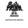 Kyukyoku Tiger 2 manual (Toaplan)