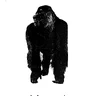 Congorilla manual